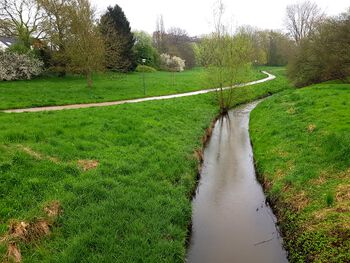 Blick vom Brügger Weg nach Osten, im Vordergrund die Ottendorfer Au