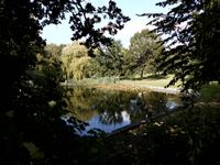 Blick in den Ivenspark