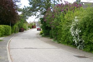 Bachstelzenweg nach Am Wellsee.jpg