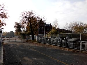 Zufahrt Schleuseninsel.jpg