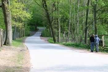 Ihlseeweg, vom Widgehege aus. Blick in Richtung Damaschkeweg. In der Senke die Brücke über die Kuhfurtsau