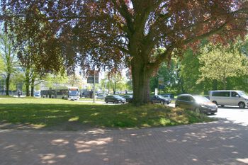 Blick vom Schlossgarten in Richtung Ostseekai