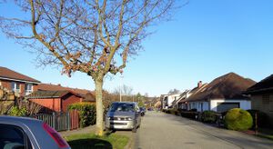 Kirschberg (Zuschnitt).jpg