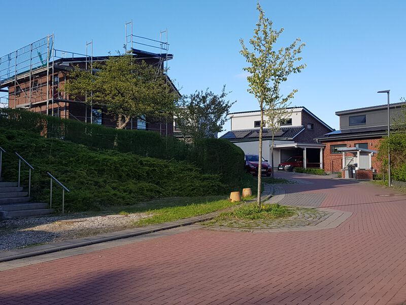 Datei:Elisabeth-Gloeden-Ring von Kreisauer Ring.jpg