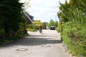 Irisweg von Rohrsängerweg.jpg