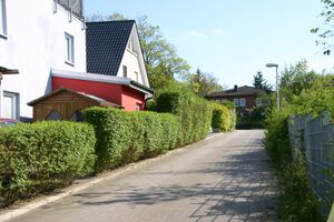 Kronsoll von Lütt Steenbusch.jpg