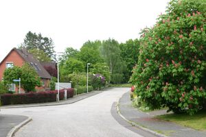 Sösslingspott ab Bergkoppel.JPG