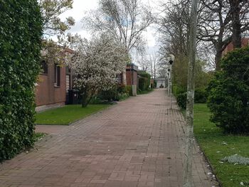 Blick vom Seeadlerweg