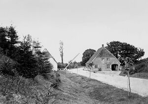 Hamburger Baum 1865.jpg