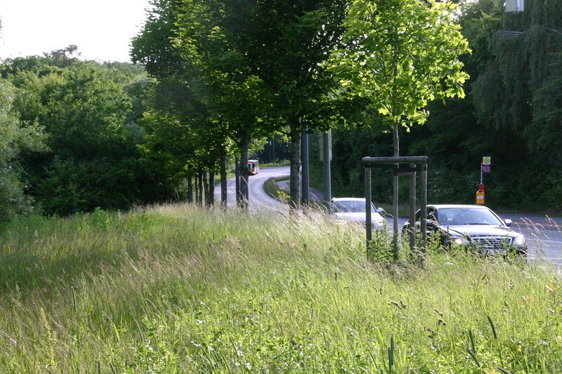Datei:Skandinaviendamm Vorratstrasse.jpg
