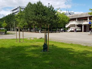 Musäusplatz mit Mensa II.jpg