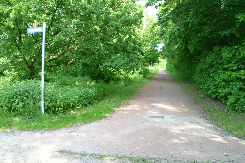 Datei:Hoppegarten vom Käthe-Kollwitz-Pfad.jpg