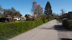 Am Tannenberg 2022 Bild 1.jpg