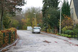 Niendieken Richtung Alter Viedamm.JPG