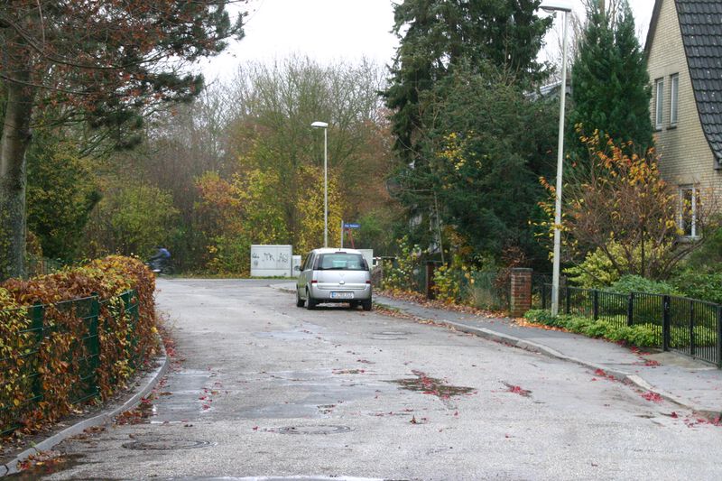 Datei:Niendieken Richtung Alter Viedamm.JPG