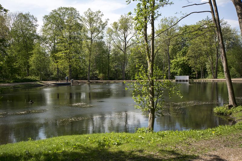 Datei:Schwanenseepark 3.jpg