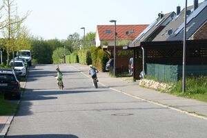 Goldregenholz von Kieler Weg.jpg