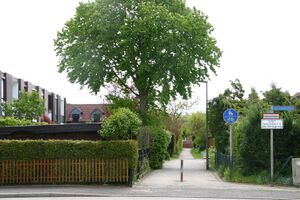 Sprosserpfad von Am Wellsee.jpg