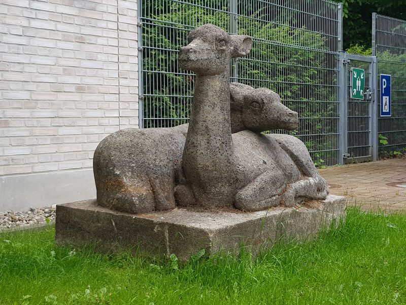 Datei:Junge Rehe (2).jpg