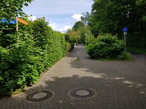 Käthe-Kollwitz-Pfad von Staakener Weg.jpg