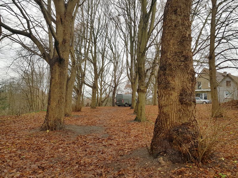 Datei:Finkelberg Gipfel.jpg