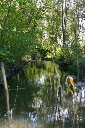 Kuhfurtsau Richtung Ihlseewegbrücke.JPG