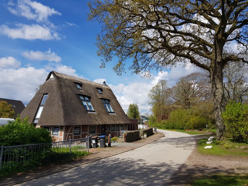 Datei:Zum Schlüsbeker Moor 40.jpg