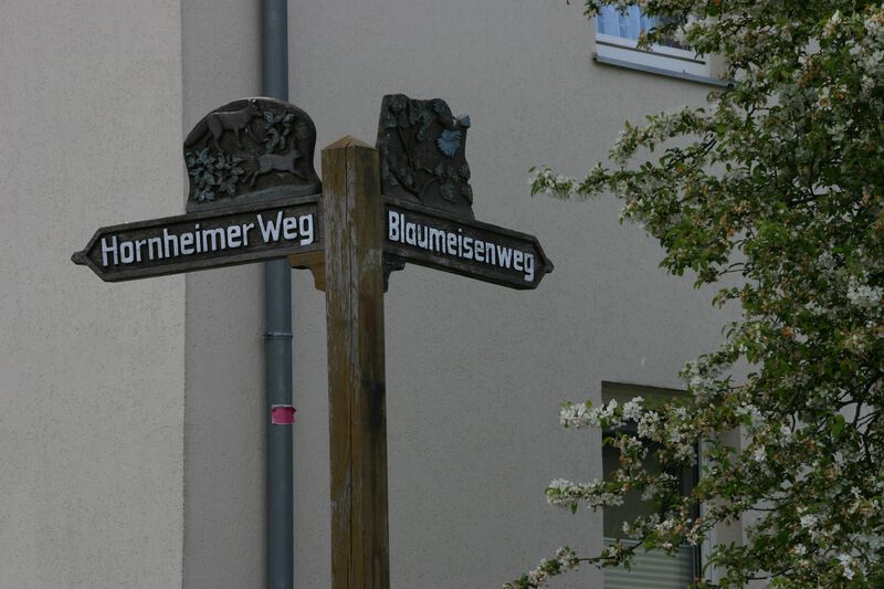 Datei:Straßenschild Blaumeisenweg.JPG