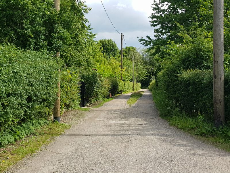 Datei:Gartenkoppel nach Süden.jpg