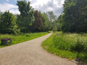 Käthe-Kollwitz-Pfad vom Kleinmachnower Weg.jpg