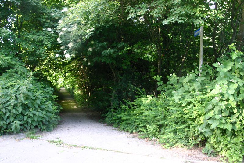 Datei:Im Hofholz von Russeer Weg.jpg