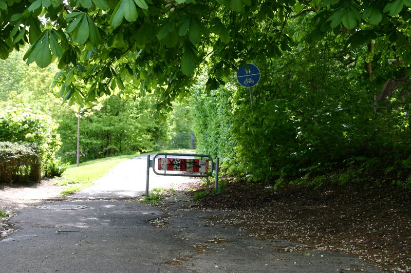 Datei:Mühlenteich aus Richtung Sörensenstraße.JPG