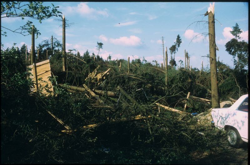 Datei:Fotos 9565.jpg