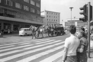 Vierspänner der Eiche-Brauerei auf dem Großen Kuhberg (1969)