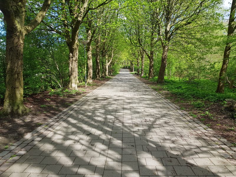 Datei:Wikingerbummel nach Norden.jpg