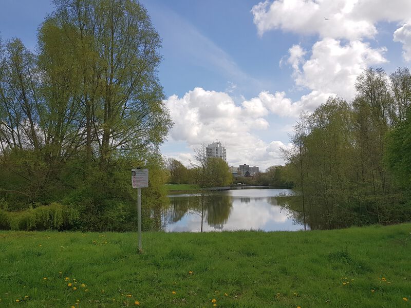 Datei:Heidenberger Teich nach Osten.jpg