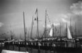 Olympiahafen, 1936