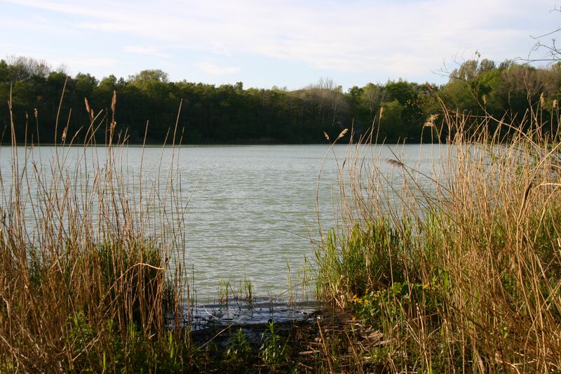 Datei:Drachensee von der Südspitze.JPG