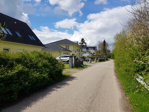 Seewiesenredder zum Steindamm.jpg