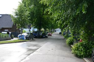 Demühlener Straße von Strucksdiek.JPG