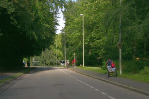 Eschenkamp zur Eichhofstraße.jpg