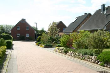 Blick vom Goldregenholz