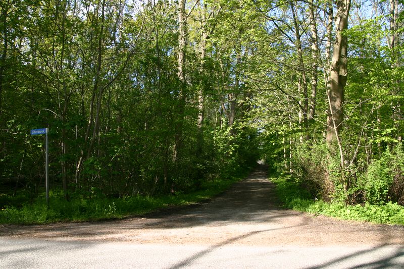 Datei:Schmale Göhle vom Eiderbrook.JPG