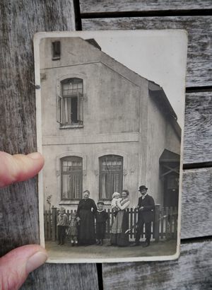 P1220555 (585x800).jpg