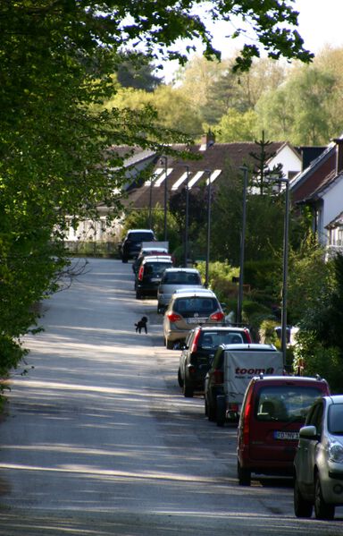 Datei:Am Voßberg von Am Hain.jpg