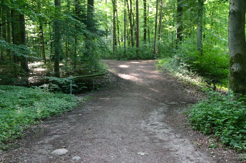 Datei:Im Hofholz Brücke.jpg