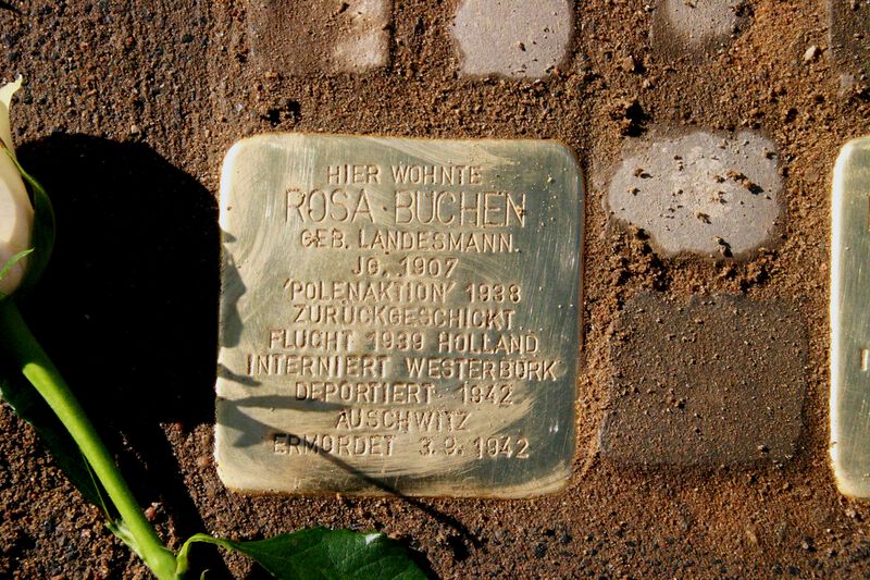Datei:Stolperstein Rosa Buchen.jpg