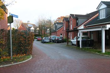Zur Russeer Au; Blick von der Straße Russeer Forst