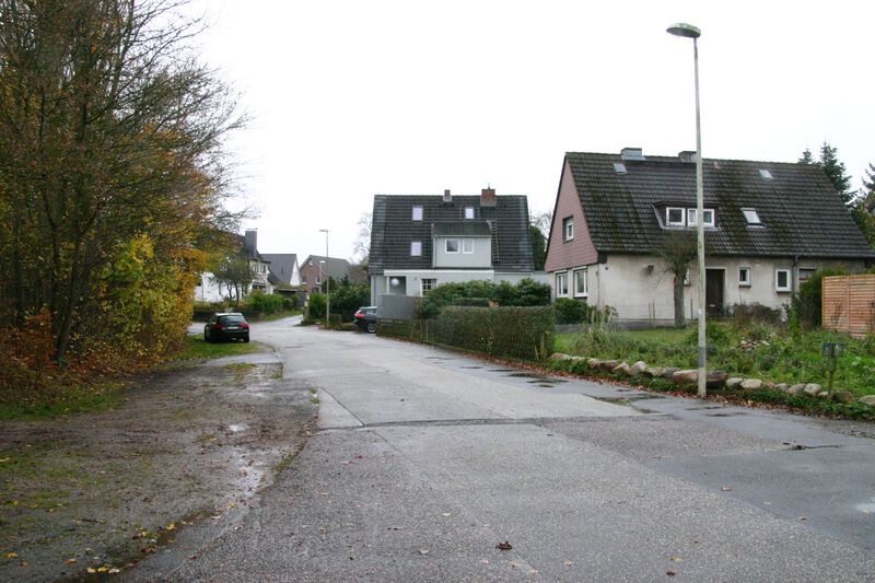 Datei:Alter Viedamm von Niendieken.JPG